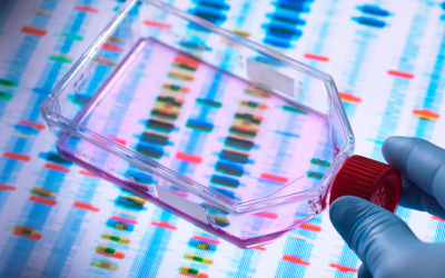 A New Era of Medicine: Understanding Personalized Performance Medicine