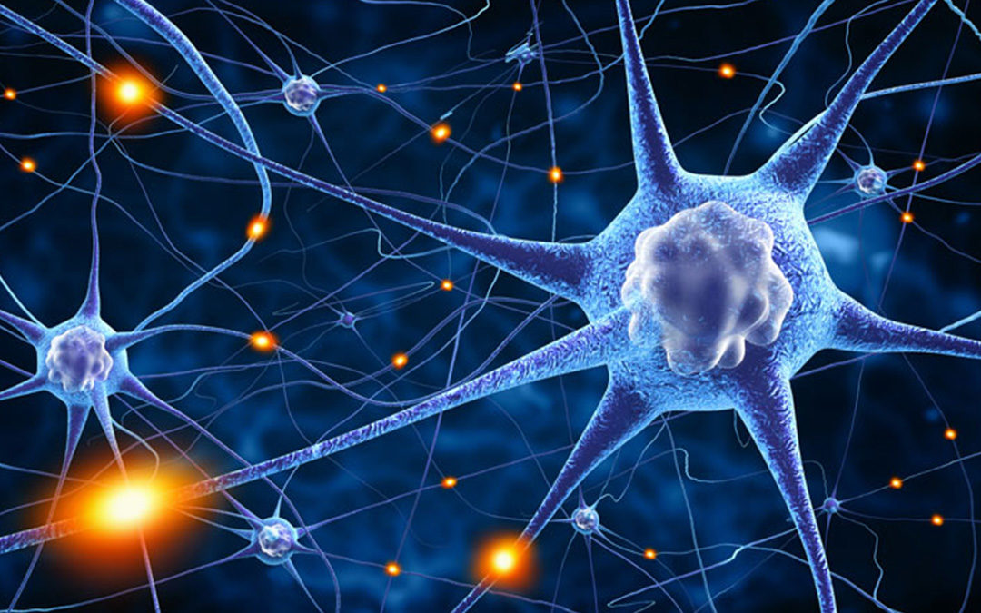 Neuroplasticity, image of graphic of Neuroplasticity firing