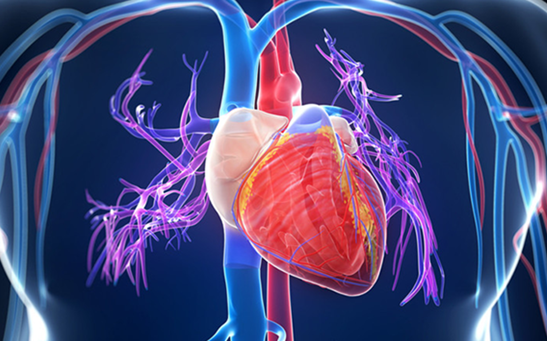Top 5 Heart Health Supplements