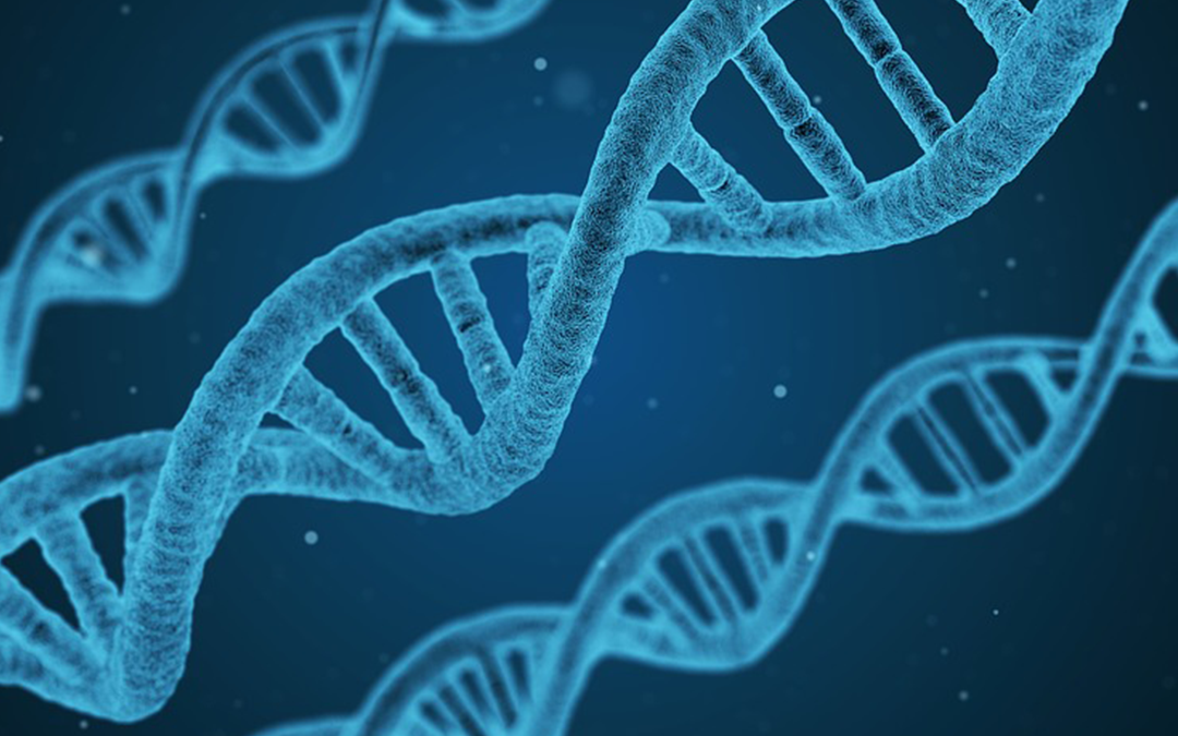 epigenetics, image of DNA strains